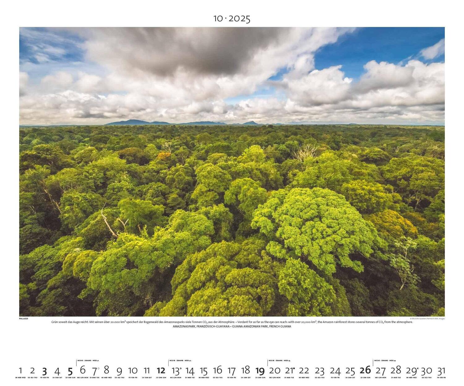 Bild: 4251734300768 | Regenwald 2025 - Bild-Kalender - Poster-Kalender - 60x50 | Rainforest