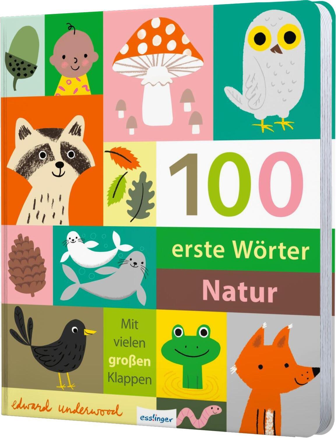 Cover: 9783480237845 | 100 erste Wörter - Natur | Edward Underwood | Buch | 100 erste Wörter
