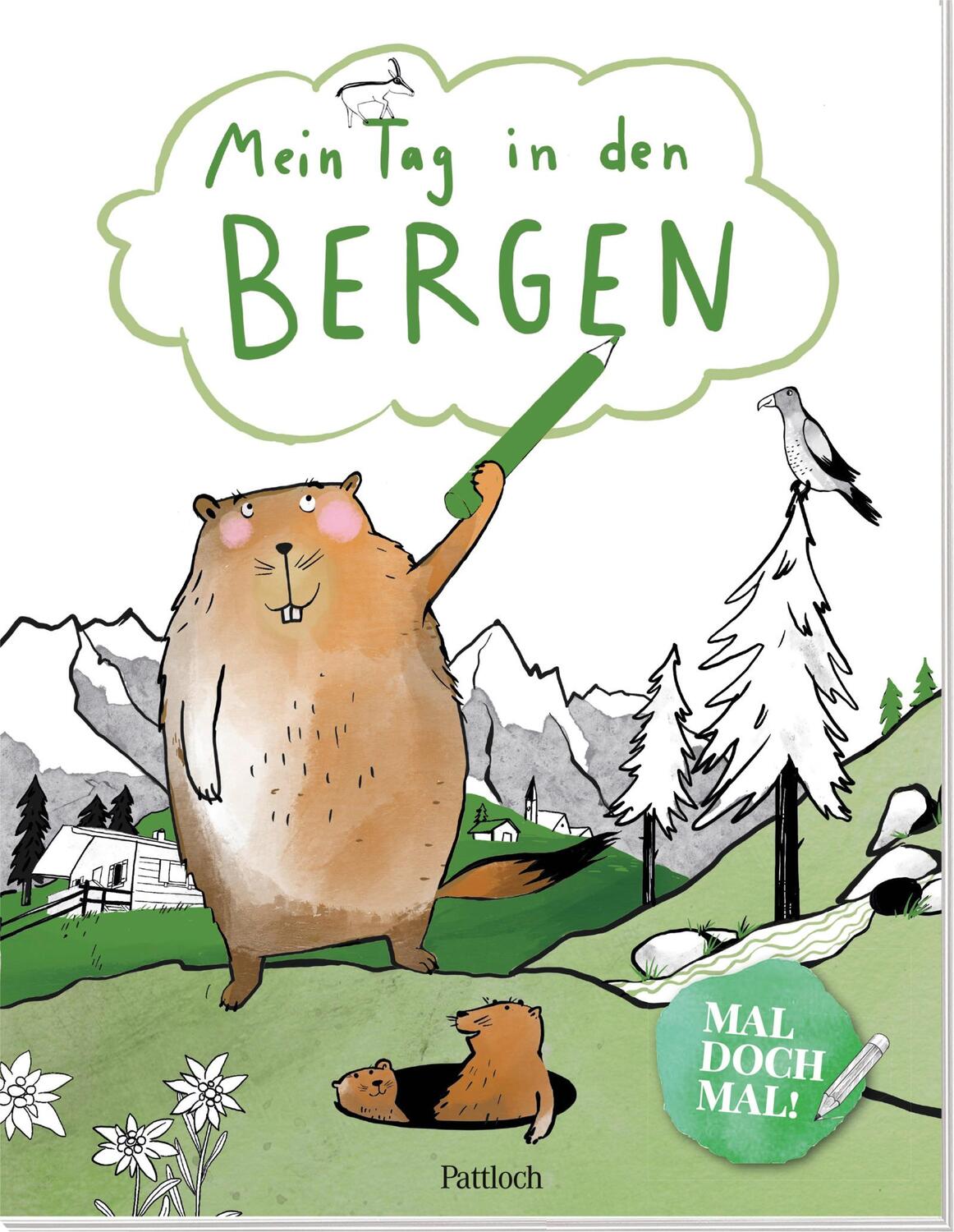 Cover: 9783629008947 | Mal doch mal! - Mein Tag in den Bergen | Taschenbuch | 48 S. | Deutsch