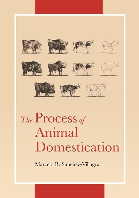 Cover: 9780691217673 | The Process of Animal Domestication | Marcelo Sánchez-Villagra | Buch