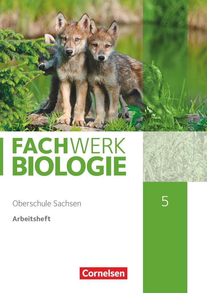 Cover: 9783060105472 | Fachwerk Biologie - Sachsen. 5. Schuljahr - neuer Lehrplan -...