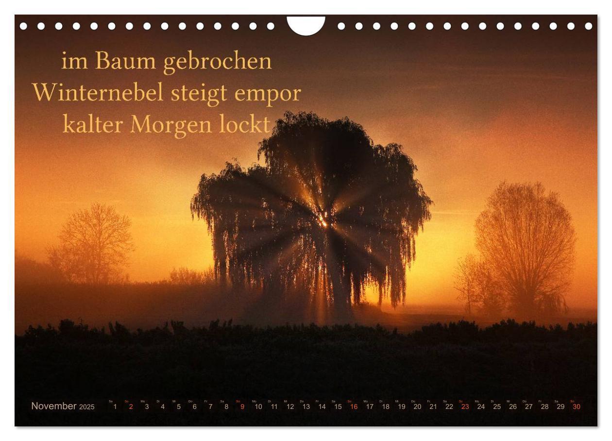 Bild: 9783435734108 | Haiku - Gedichte in 17 Silben (Wandkalender 2025 DIN A4 quer),...