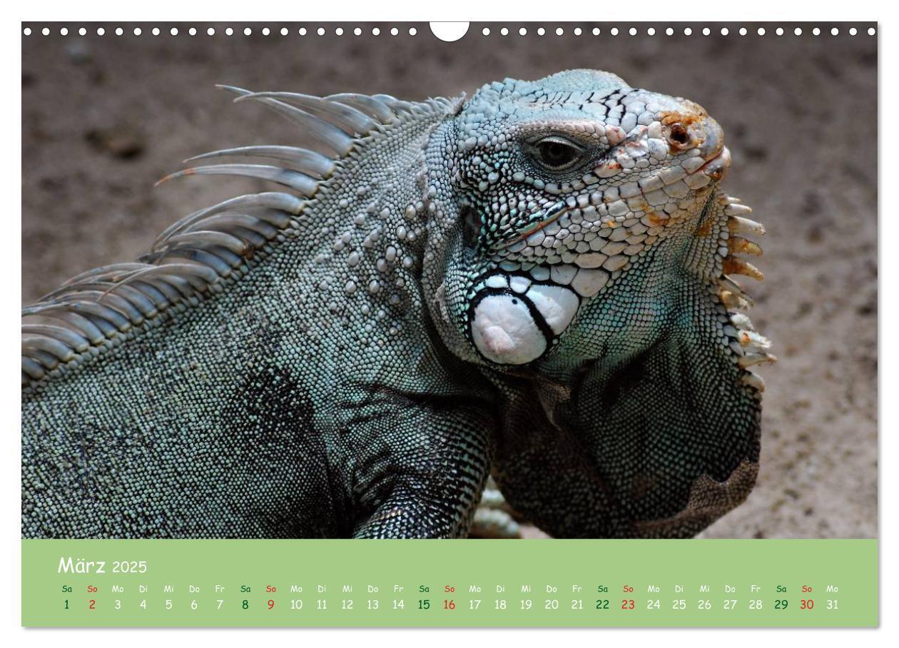 Bild: 9783435658152 | Am Amazonas (Wandkalender 2025 DIN A3 quer), CALVENDO Monatskalender