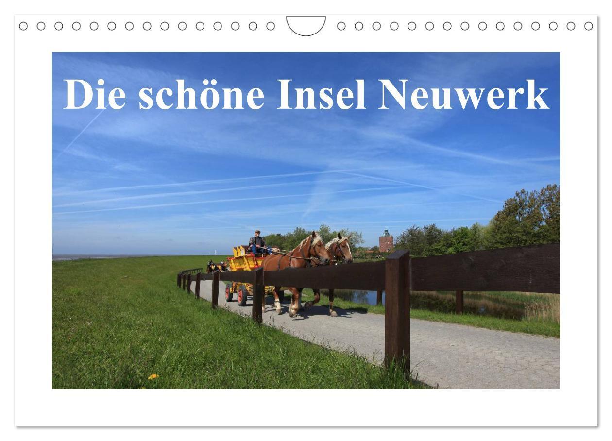 Cover: 9783383498947 | Die schöne Insel Neuwerk (Wandkalender 2024 DIN A4 quer), CALVENDO...