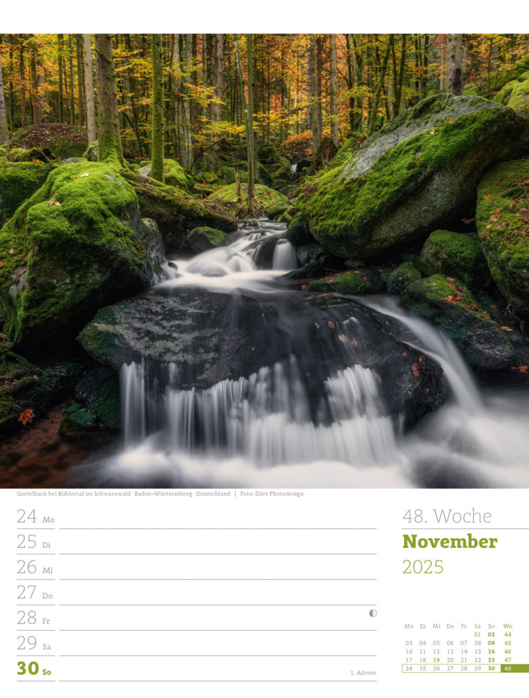 Bild: 9783838425979 | Unser Wald - Wochenplaner Kalender 2025 | Ackermann Kunstverlag | 2025