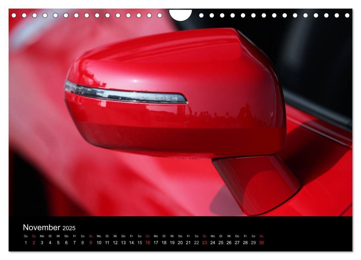 Bild: 9783435839650 | Vollblut-Sportler (Wandkalender 2025 DIN A4 quer), CALVENDO...