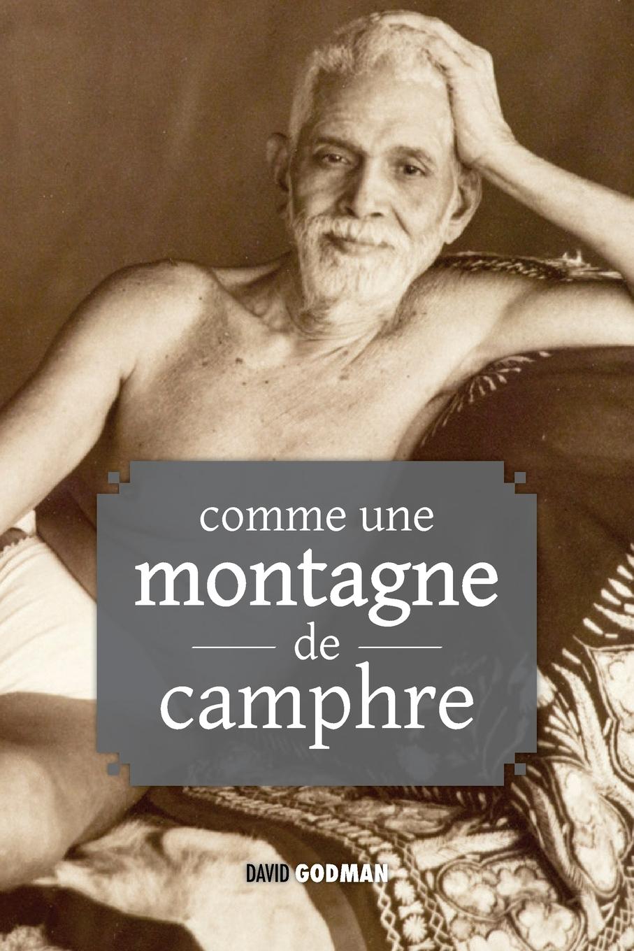 Cover: 9781788945868 | Comme une montagne de camphre | David Godman | Taschenbuch | 2022