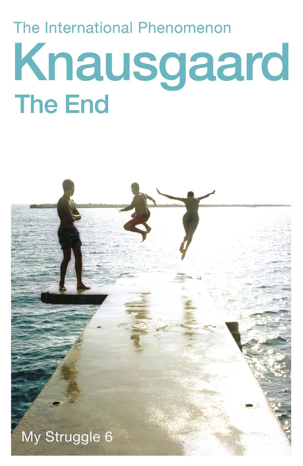 Cover: 9780099590194 | The End | My Struggle Book 6 | Karl Ove Knausgaard | Taschenbuch