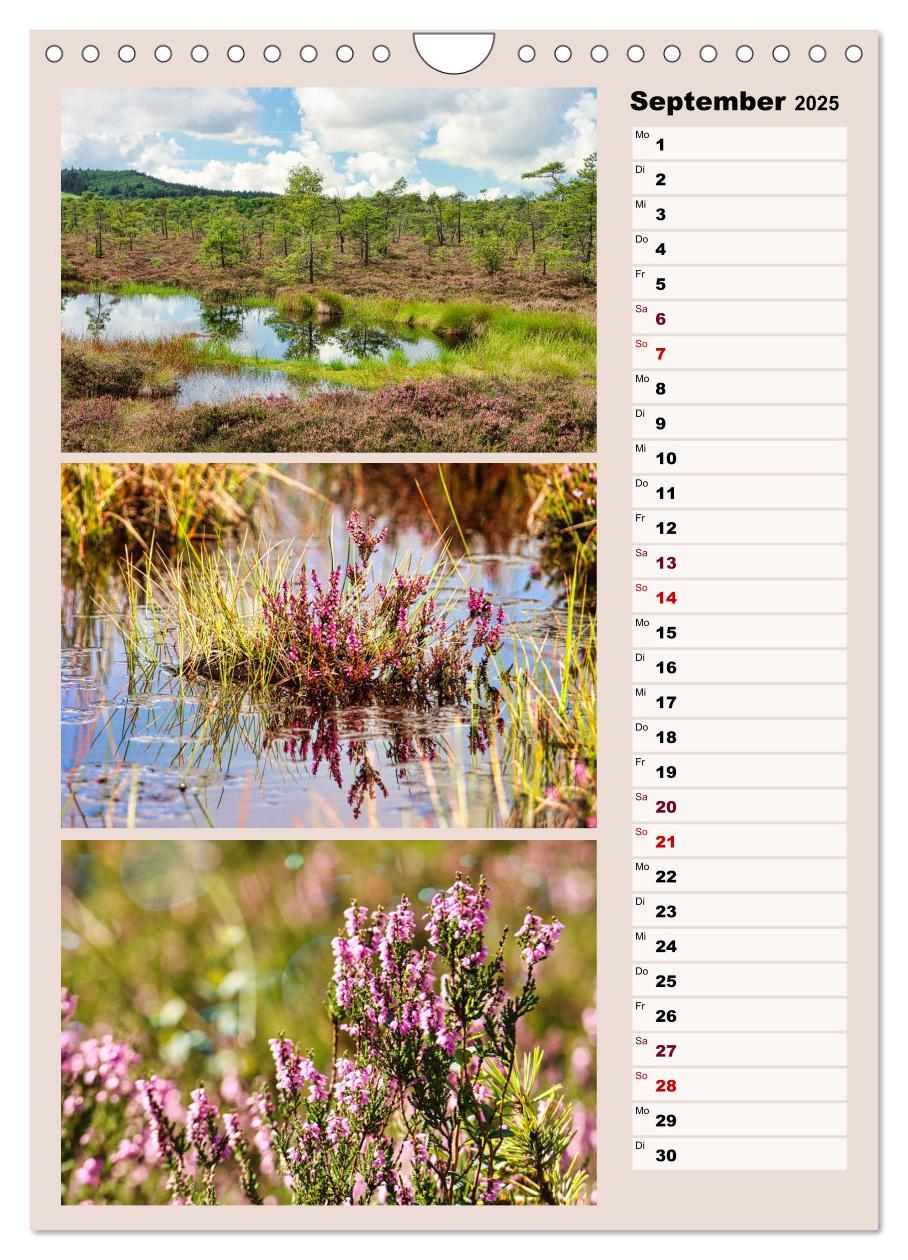 Bild: 9783457146224 | Harmonie der Farben in Landschaft und Natur (Wandkalender 2025 DIN...