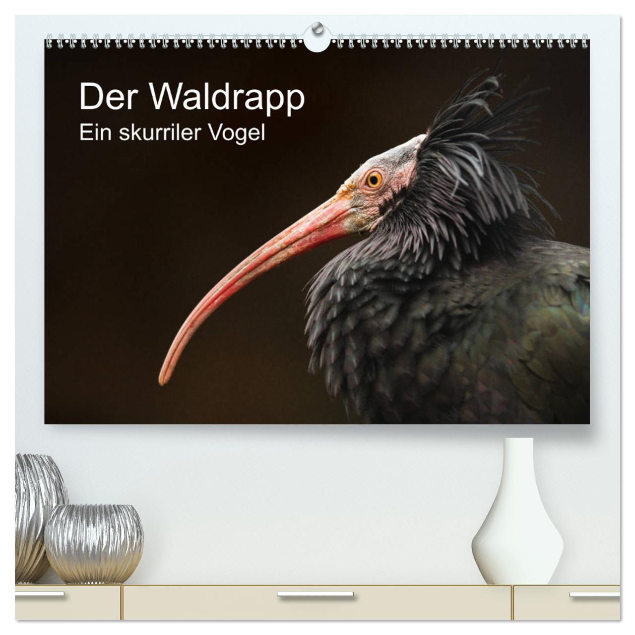 Cover: 9783435135165 | Der Waldrapp - Ein skurriler Vogel (hochwertiger Premium...