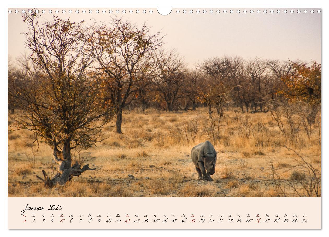 Bild: 9783435032327 | Namibia - Vom Sossusvlei bis zum Etosha Nationalpark (Wandkalender...