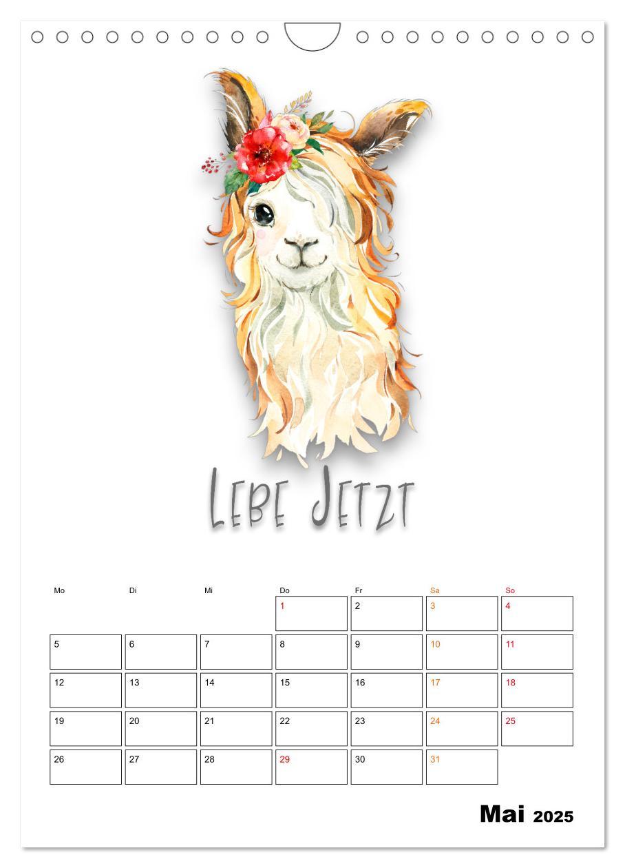 Bild: 9783435904150 | Bleib cool - Gute-Laune-Kalender (Wandkalender 2025 DIN A4 hoch),...