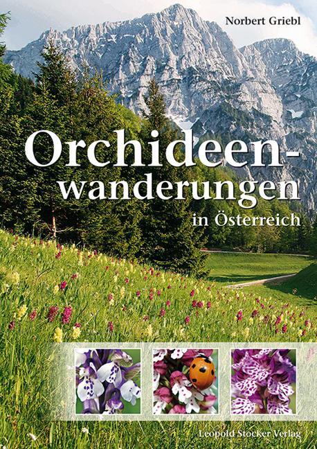 Cover: 9783702015336 | Orchideenwanderungen in Österreich | Norbert Griebl | Taschenbuch