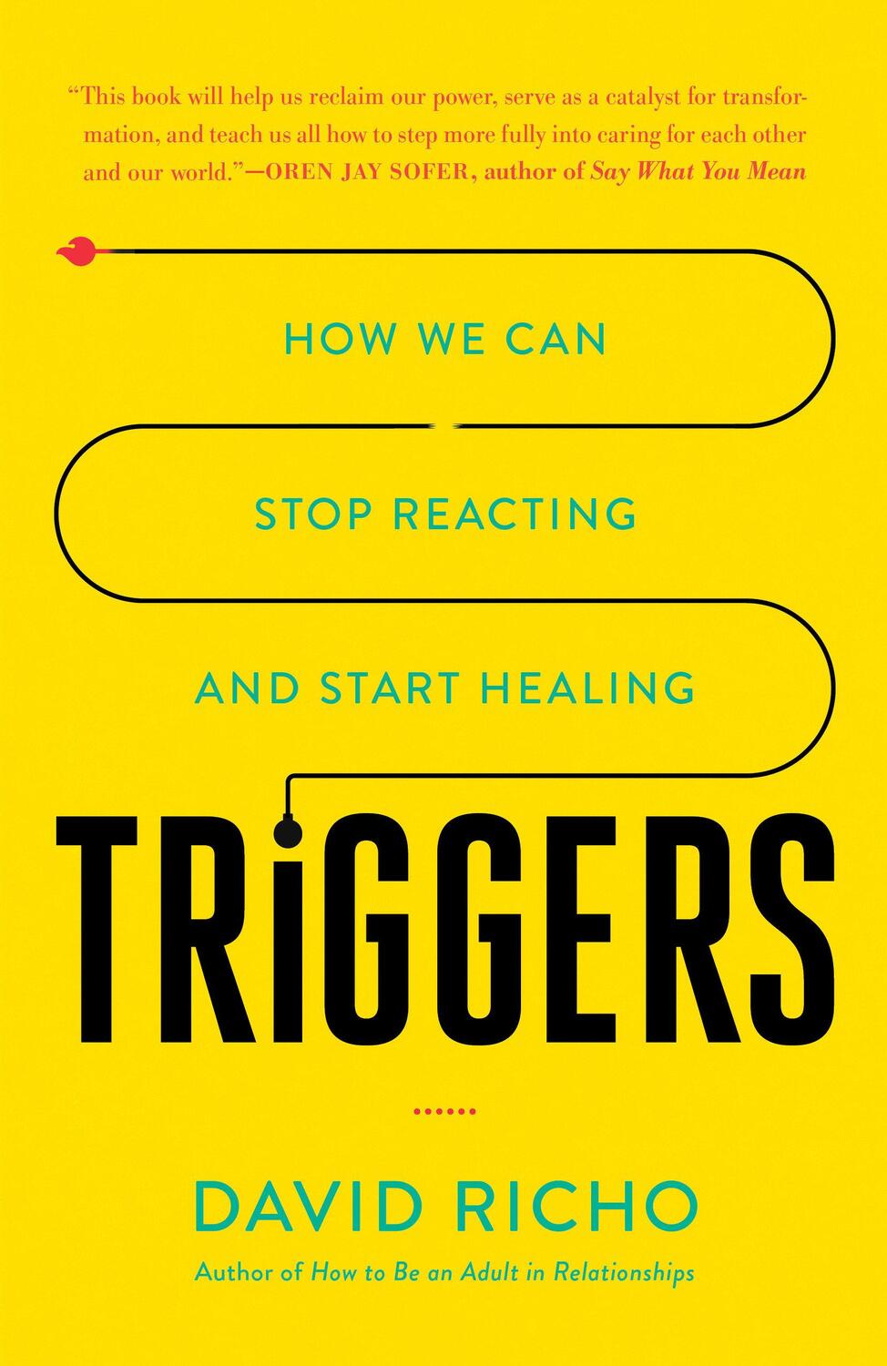 Cover: 9781611807653 | Triggers | How We Can Stop Reacting and Start Healing | David Richo