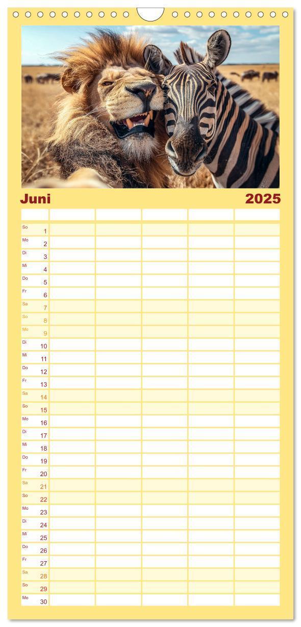 Bild: 9783457191736 | Familienplaner 2025 - Tier Selfies mit 5 Spalten (Wandkalender, 21...