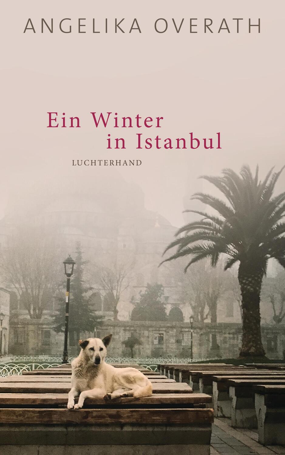 Cover: 9783630875347 | Ein Winter in Istanbul | Roman | Angelika Overath | Buch | Deutsch