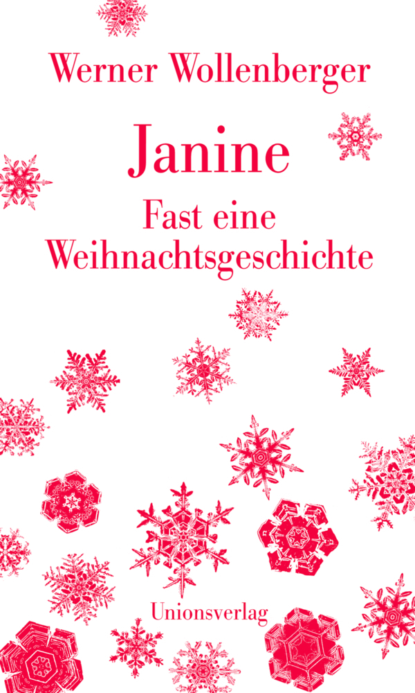 Cover: 9783293005105 | Janine - Fast eine Weihnachtsgeschichte | Werner Wollenberger | Buch