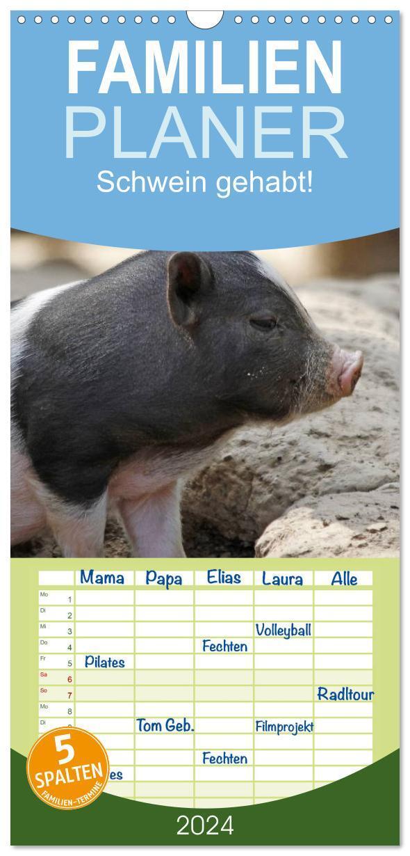 Cover: 9783383106651 | Familienplaner 2024 - Schwein gehabt! mit 5 Spalten (Wandkalender,...