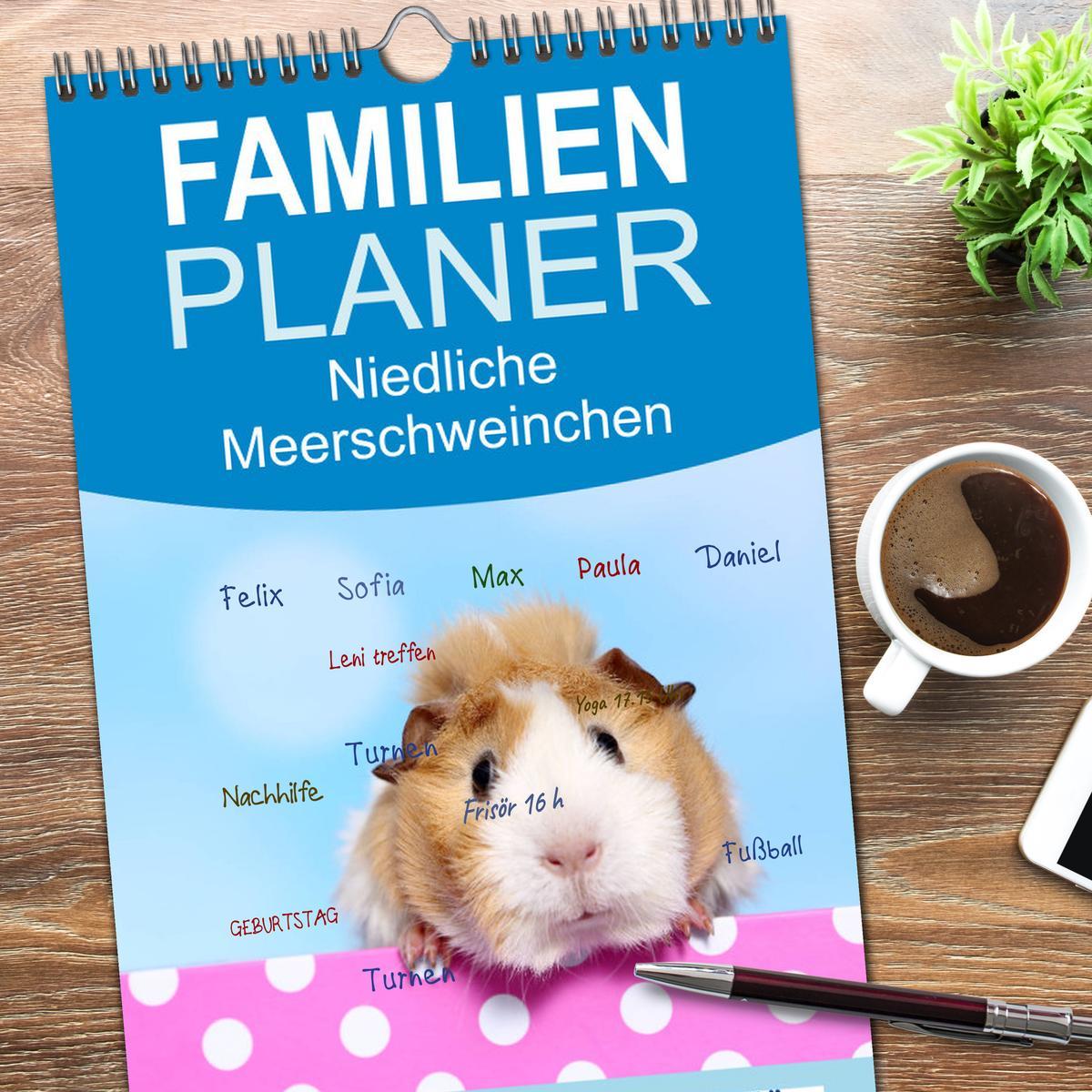 Bild: 9783457118191 | Familienplaner 2025 - Niedliche Meerschweinchen mit 5 Spalten...