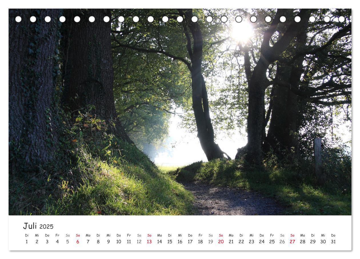 Bild: 9783435077489 | Zauberhaftes Ammerland (Tischkalender 2025 DIN A5 quer), CALVENDO...