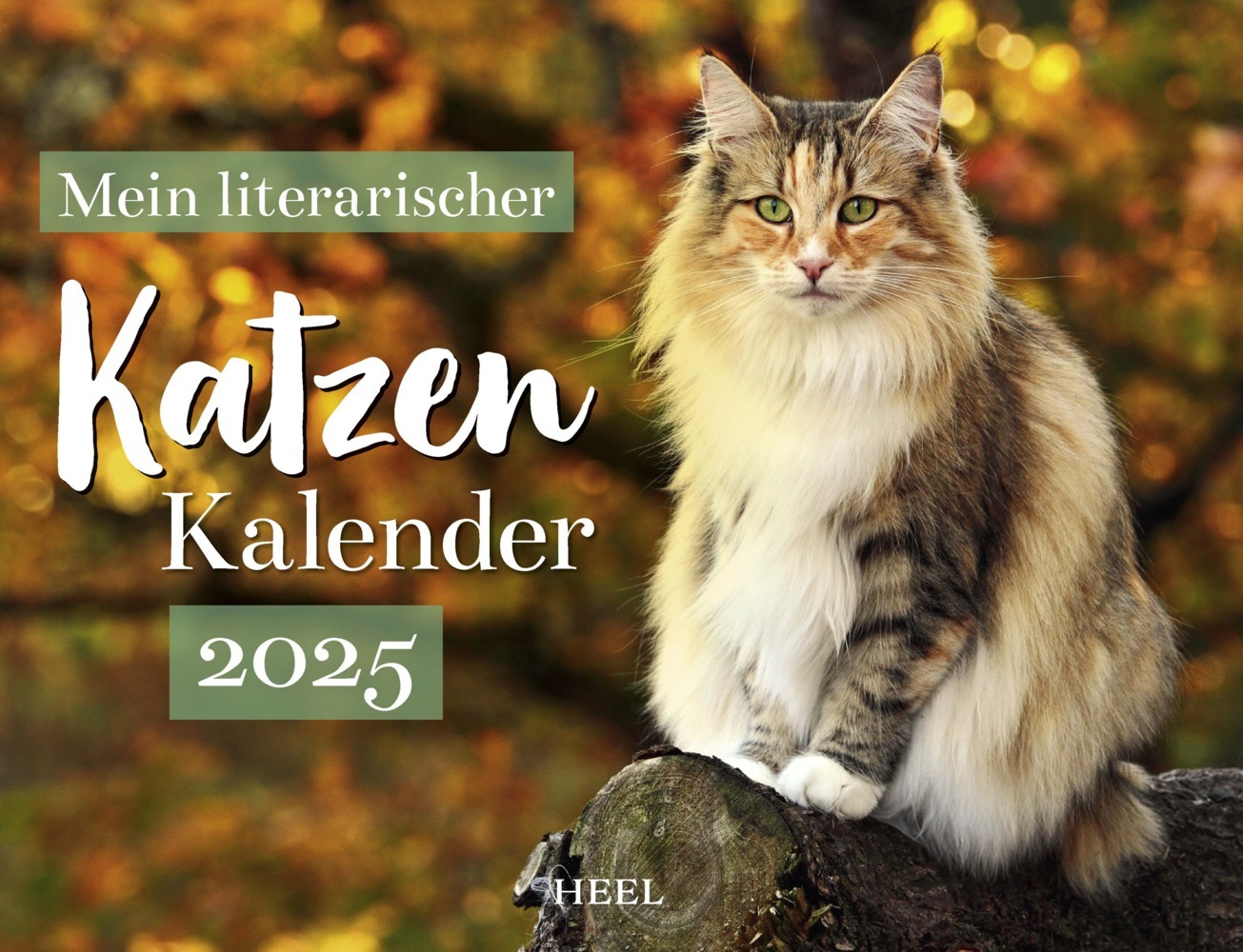 Cover: 9783966648561 | Mein Literarischer Katzenkalender 2025 Wandkalender | Kalender | 14 S.