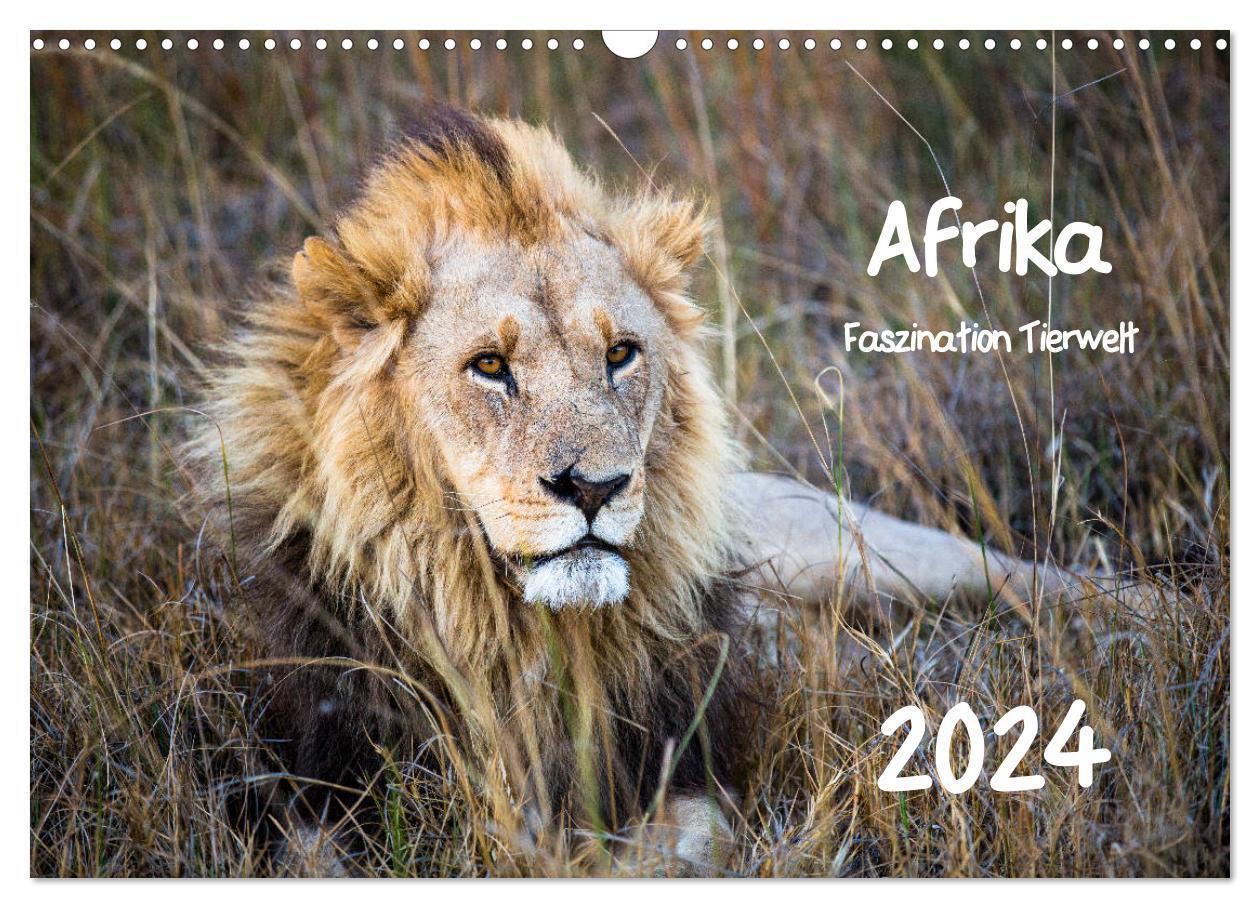 Cover: 9783383186752 | Afrika - Faszination Tierwelt (Wandkalender 2024 DIN A3 quer),...