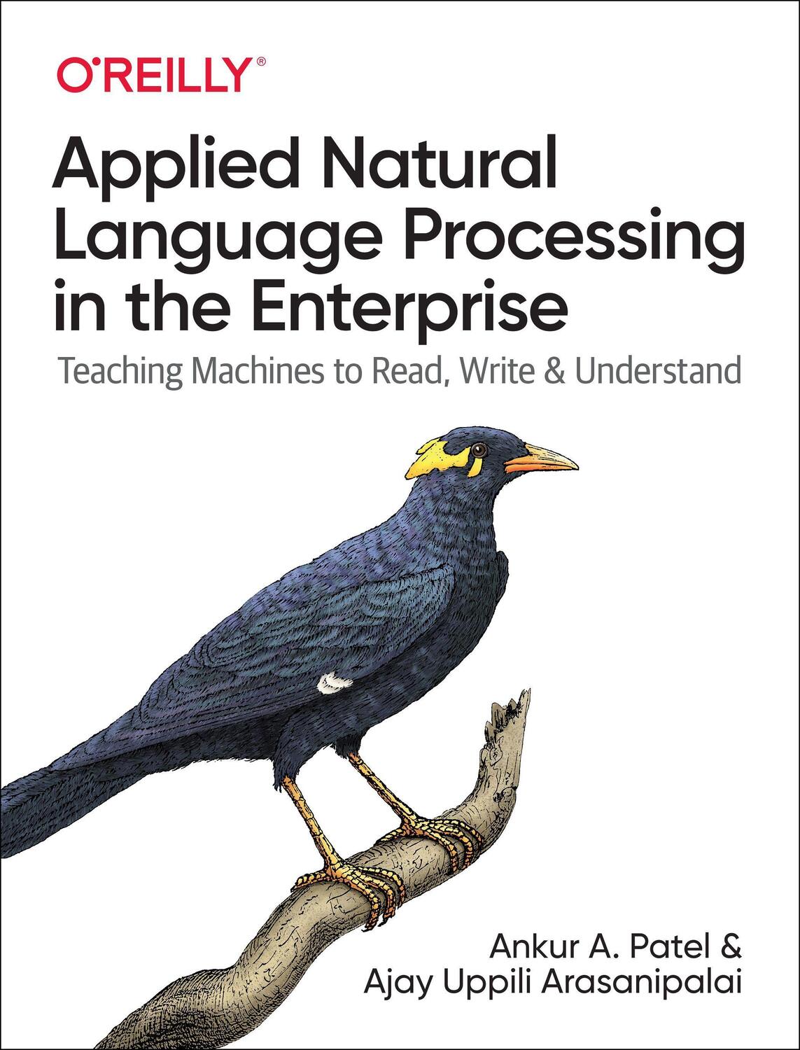Cover: 9781492062578 | Applied Natural Language Processing in the Enterprise | Patel (u. a.)