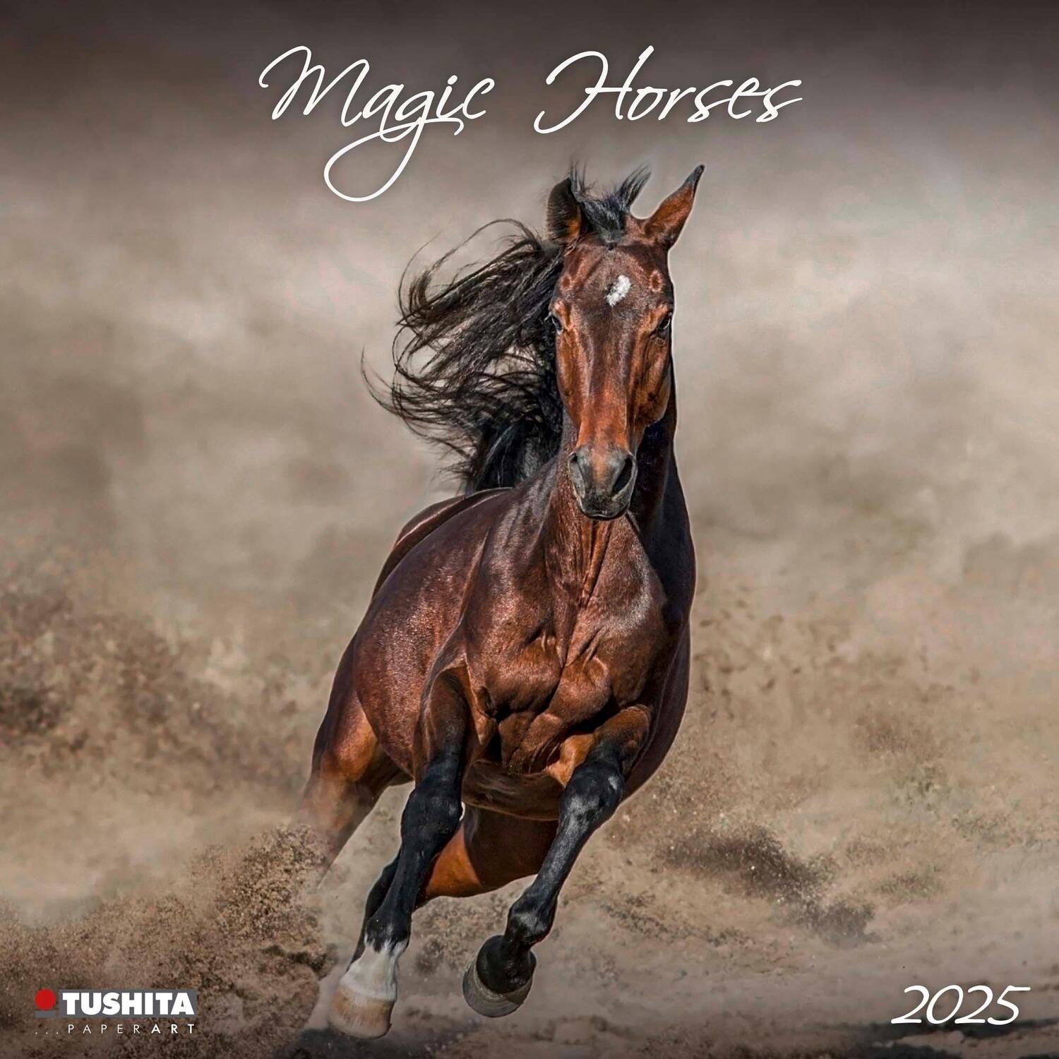 Cover: 9783959294027 | Magic Horses 2025 | Kalender 2025 | Kalender | Wonderful World | 28 S.