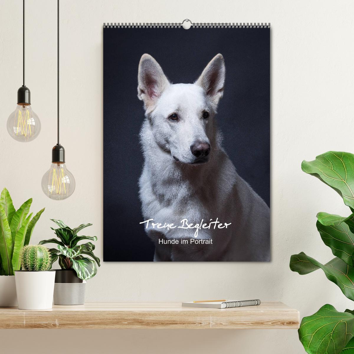 Bild: 9783457009321 | Treue Wegbegleiter, Hunde im Portrait. (Wandkalender 2025 DIN A2...