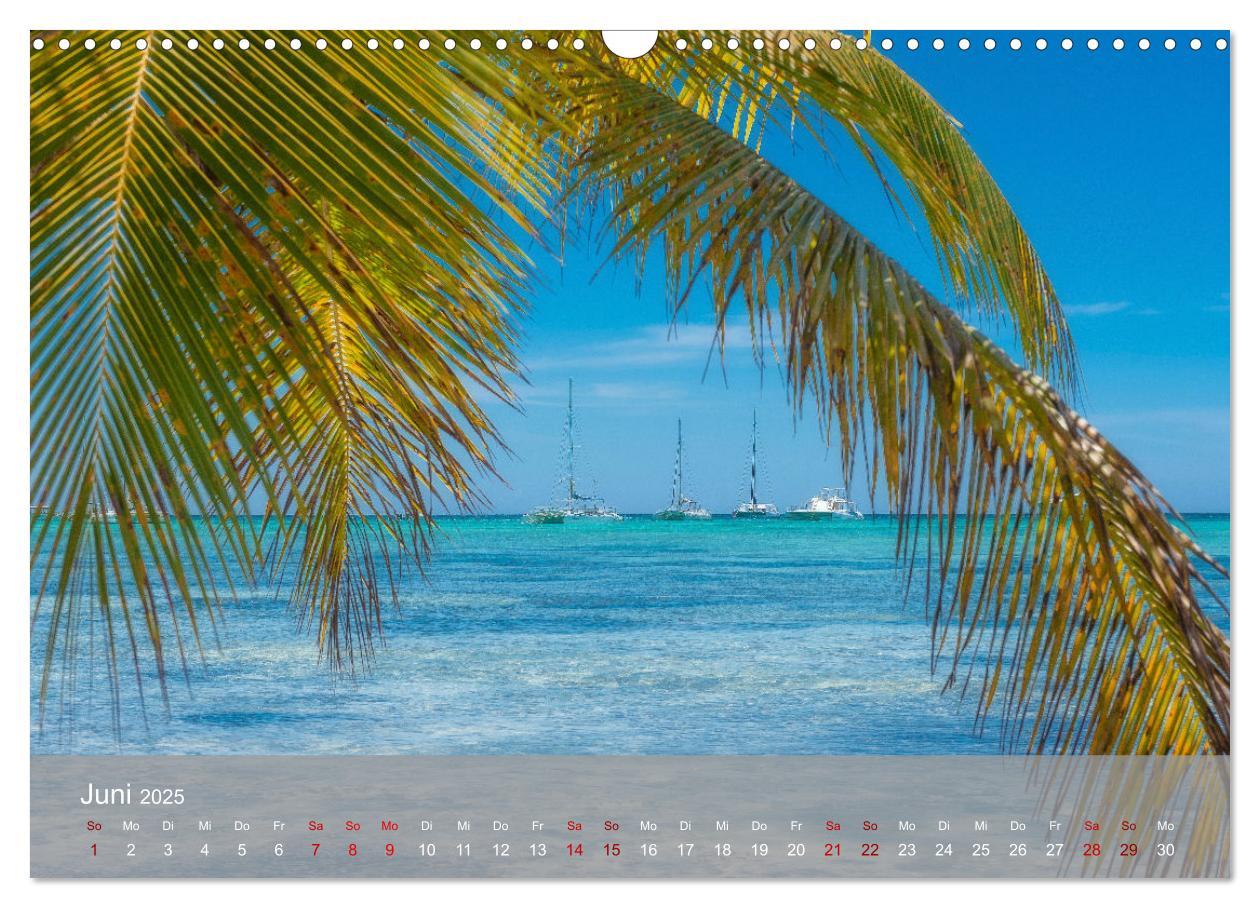 Bild: 9783435022465 | Karibik Traum Isla Saona (Wandkalender 2025 DIN A3 quer), CALVENDO...