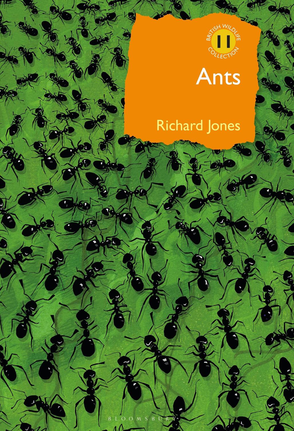 Autor: 9781472964861 | Ants | The ultimate social insects | Richard Jones | Buch | Gebunden