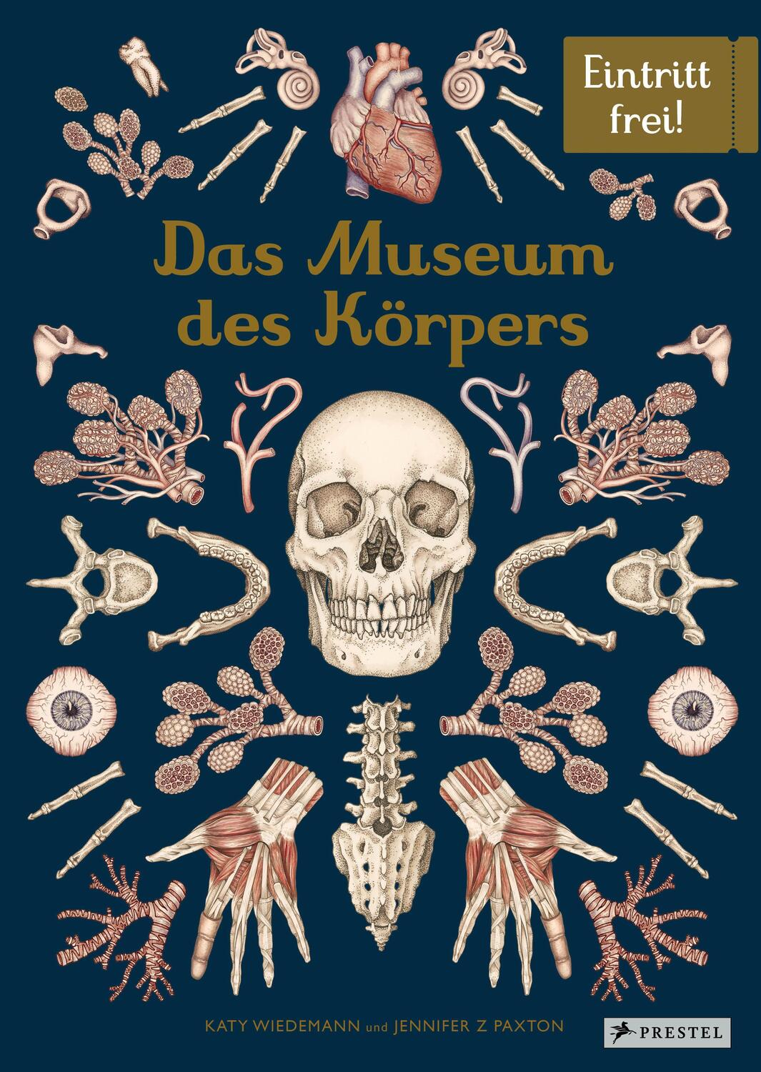 Cover: 9783791375298 | Das Museum des Körpers | Eintritt frei! | Jennifer Z. Paxton | Buch