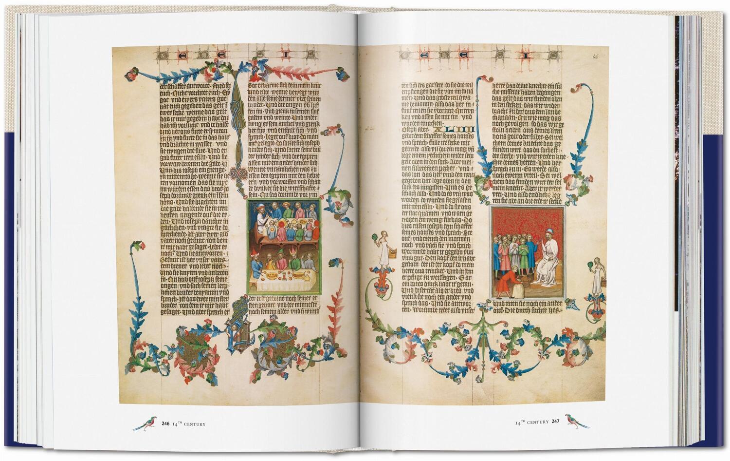 Bild: 9783836572583 | Codices illustres | Norbert Wolf (u. a.) | Buch | 504 S. | Deutsch