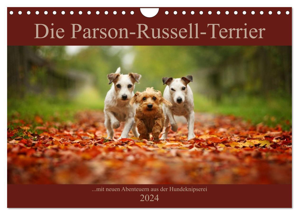 Cover: 9783383258473 | Die Parson-Russell-Terrier ...mit neuen Abenteuern aus der...