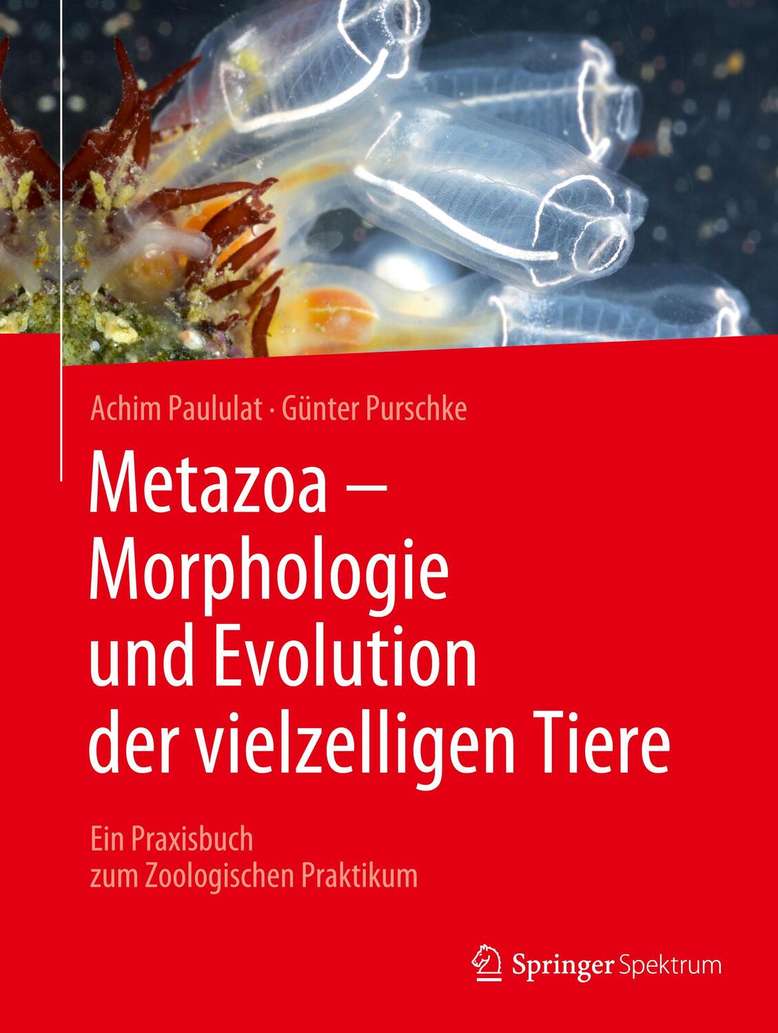 Cover: 9783662661833 | Metazoa - Morphologie und Evolution der vielzelligen Tiere | Buch