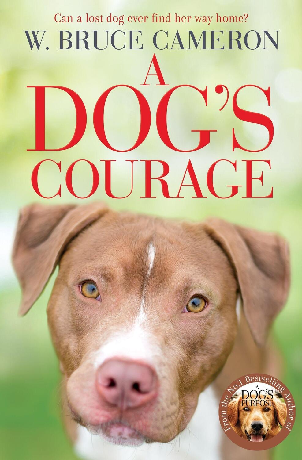 Cover: 9781529075854 | A Dog's Courage | W. Bruce Cameron | Taschenbuch | A Dog's Way Home