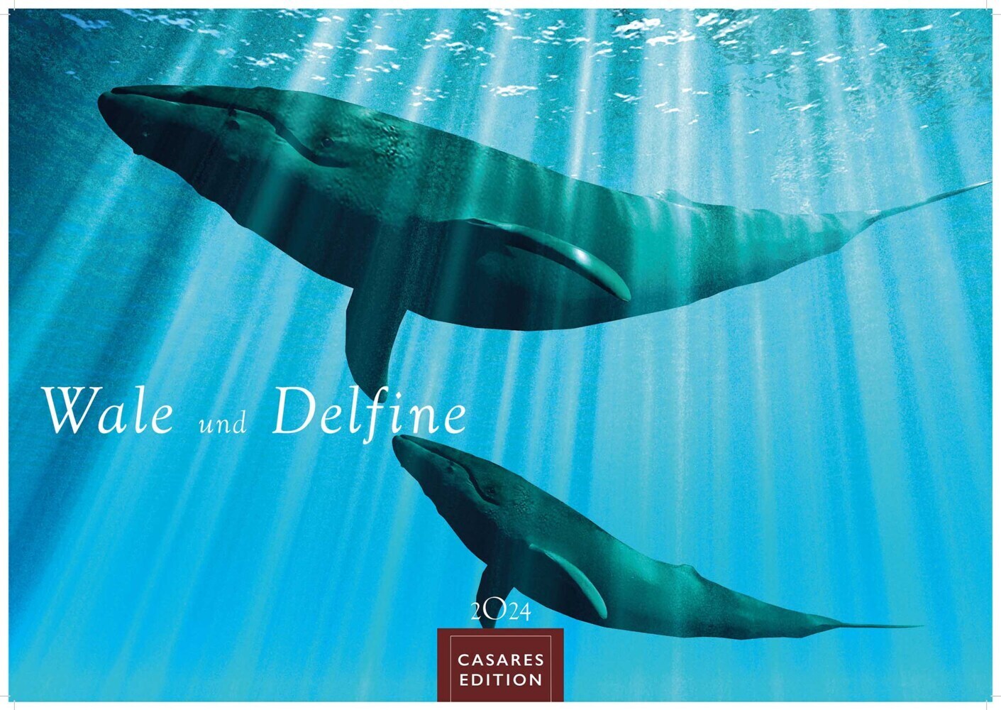 Cover: 9789918618811 | Wale und Delfine 2024 L 35x50cm | Kalender | 14 S. | Deutsch | 2024