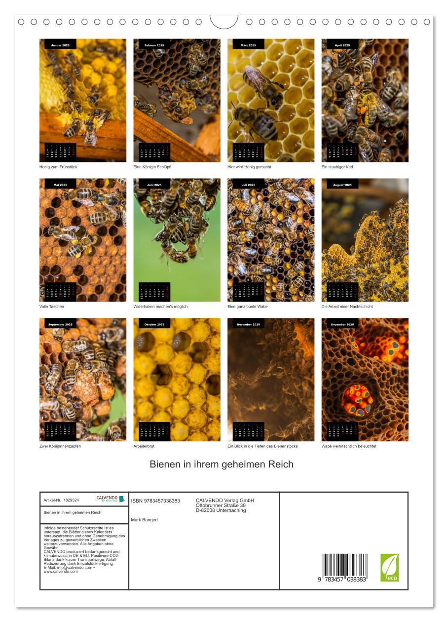 Bild: 9783457038383 | Bienen in ihrem geheimen Reich (Wandkalender 2025 DIN A3 hoch),...