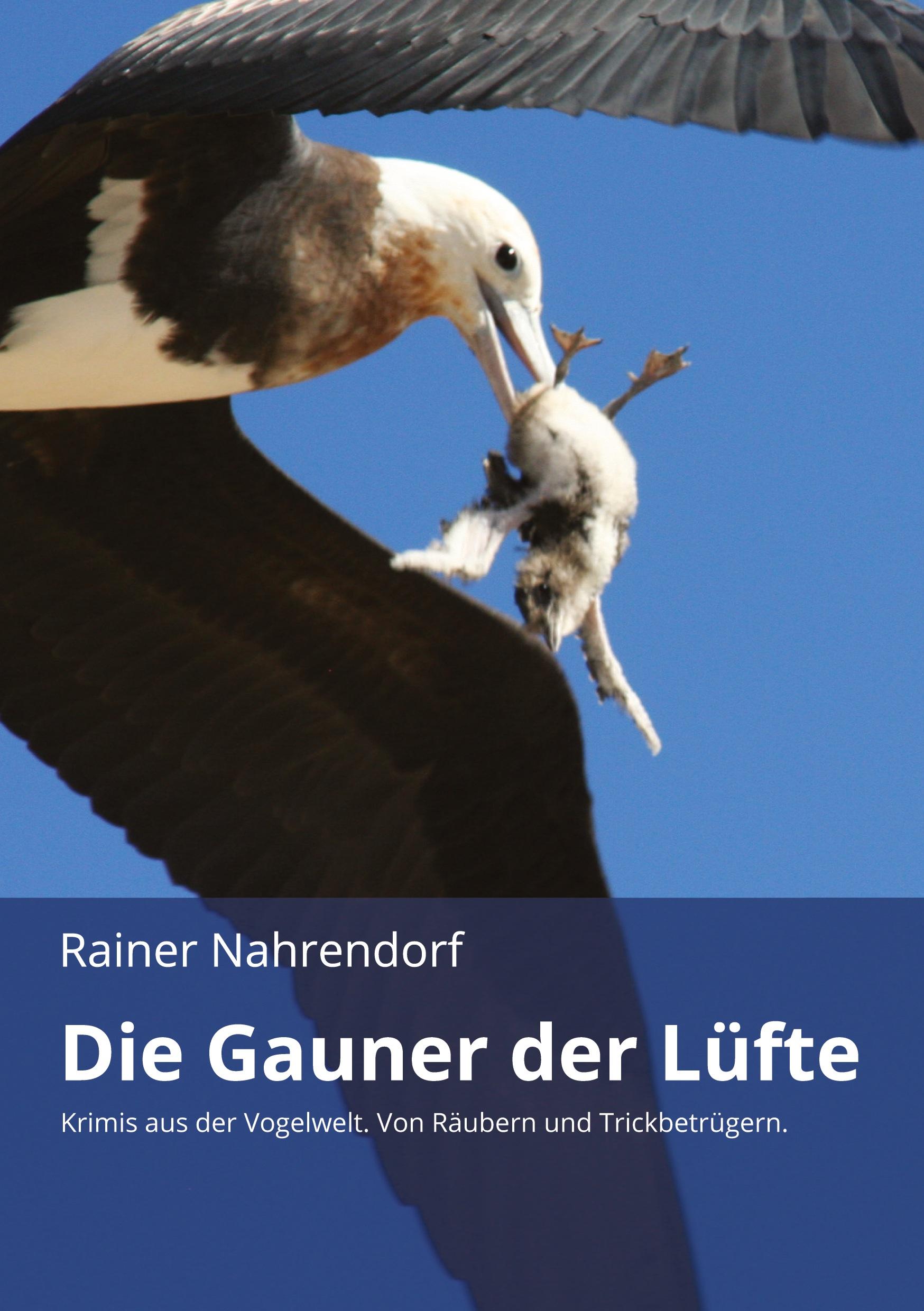 Cover: 9783746931616 | Die Gauner der Lüfte | Rainer Nahrendorf | Taschenbuch | 60 S. | 2018