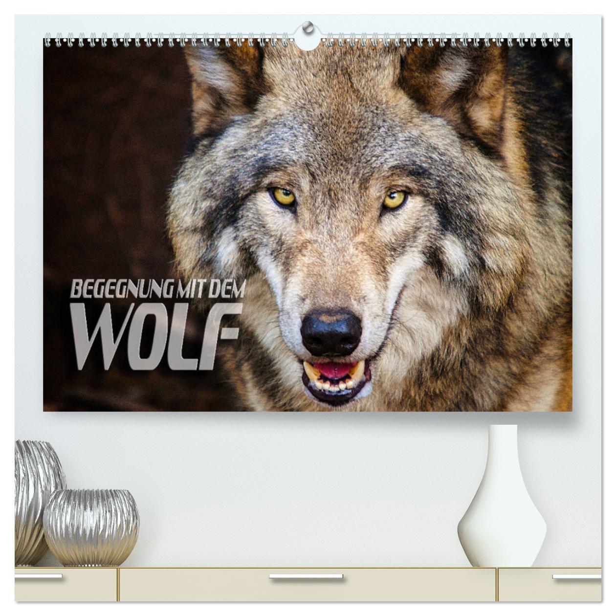 Cover: 9783675682108 | Begegnung mit dem Wolf (hochwertiger Premium Wandkalender 2024 DIN...