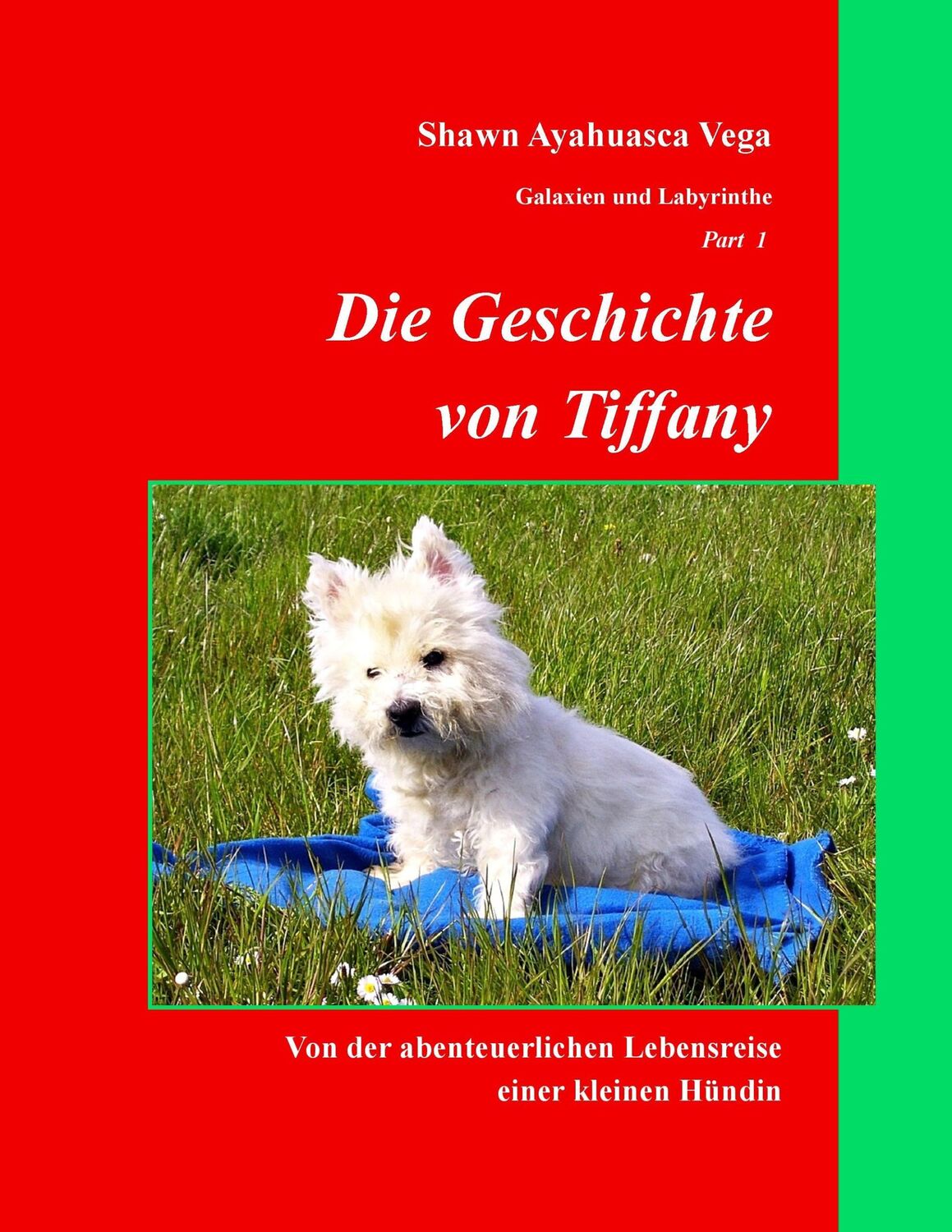 Cover: 9783837073133 | Die Geschichte von Tiffany | Shawn Ayahuasca Vega | Taschenbuch | 2017