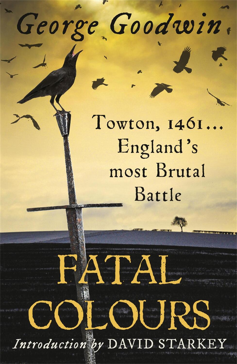 Cover: 9780753828175 | Fatal Colours | Towton, 1461 - England's Most Brutal Battle | Goodwin