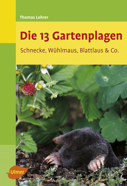 Cover: 9783800158348 | Die 13 Gartenplagen | Schnecke, Wühlmaus, Blattlaus & Co. | Lohrer
