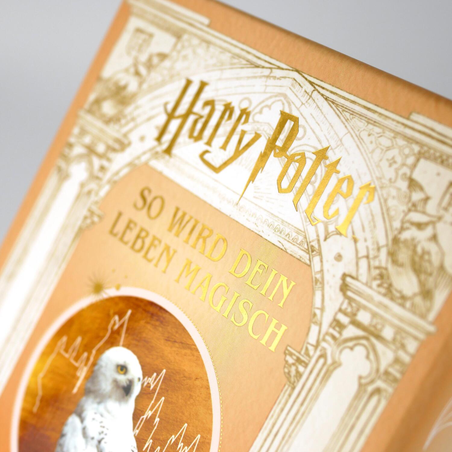 Bild: 9783742323330 | Harry Potter: So wird dein Leben magisch | Wizarding World | Box