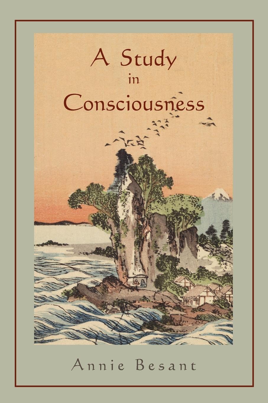 Cover: 9781891396410 | A Study in Consciousness | a Contribution to the Science of Psychology