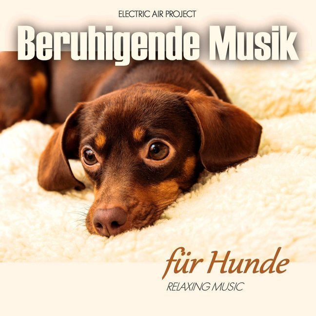Cover: 4260088630421 | Beruhigende Musik für Hunde, 1 Audio-CD | Audio-CD | 2019 | EAP-Music