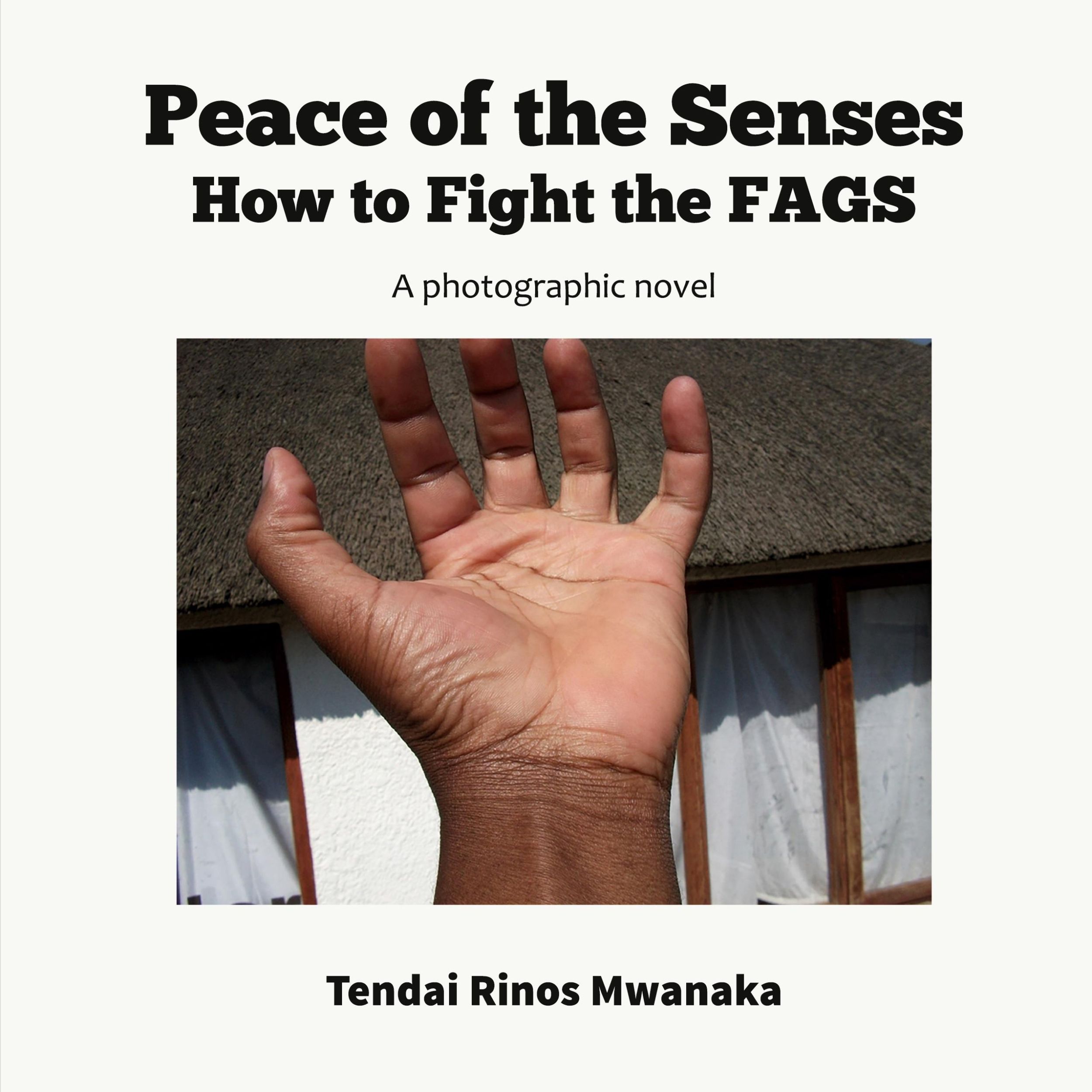 Cover: 9781779331656 | Peace of the Senses | How to Fight the FAGS | Tendai Rinos Mwanaka