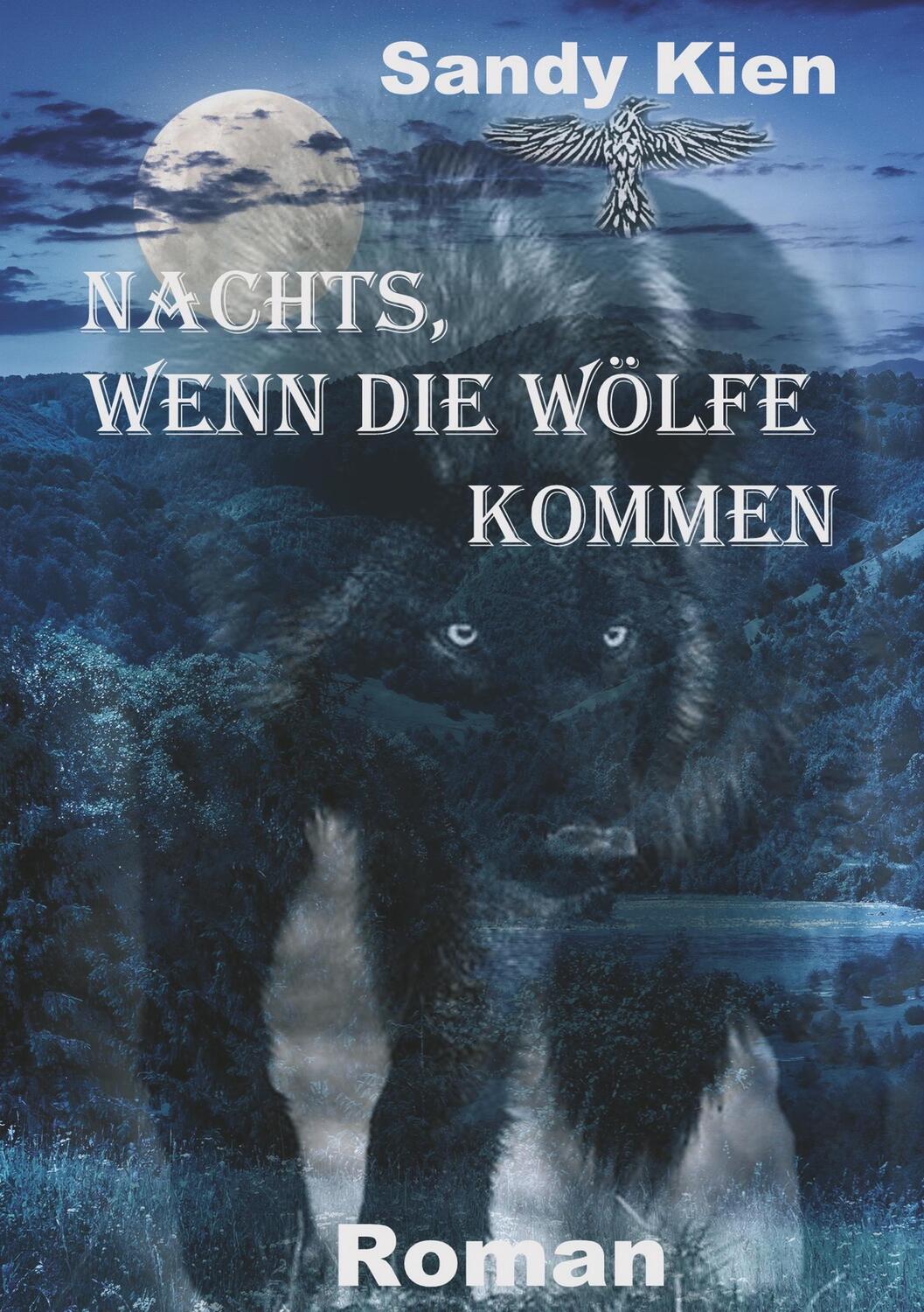 Cover: 9783746982151 | Nachts, wenn die Wölfe kommen | Sandy Kien | Taschenbuch | Paperback