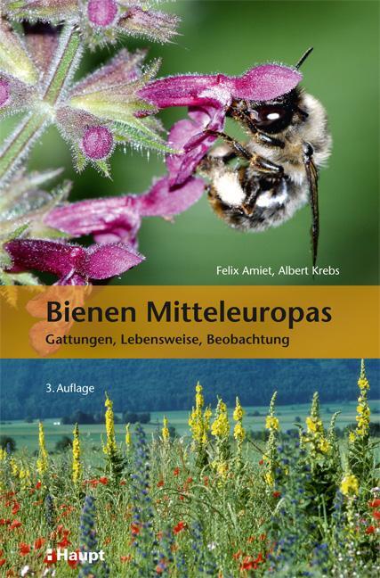 Cover: 9783258081045 | Bienen Mitteleuropas | Gattungen, Lebensweise, Beobachtung | Buch