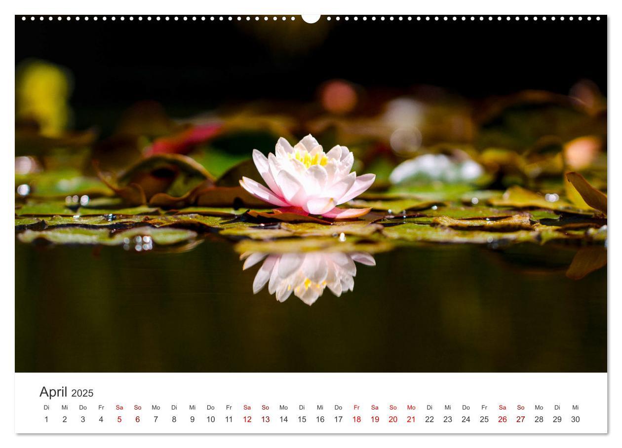 Bild: 9783383930294 | ZEN - Eine Reise zu sich selbst (Wandkalender 2025 DIN A2 quer),...